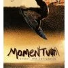 MOMENTUM UNDER THE INFLUENCE