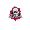 POWELL PERALTA WINGED RIPPER PATCH 7 CM